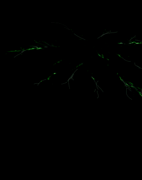 錄製_2026_08_08_19_14_56_144.gif